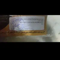 تیبا2مدل1401|خودرو سواری و وانت|قم, نیروگاه|دیوار