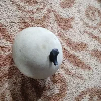 یه عدد سنگ تخم مرغی وزن 410گرم|کلکسیون اشیاء عتیقه|رامهرمز, |دیوار