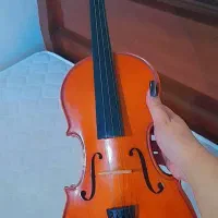 ویولن رناتو 220 همراه لوازم جانبی