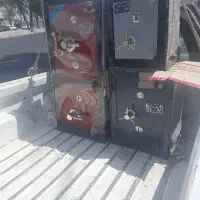 گاو صندوق در انواع سایز