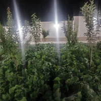زمین-دونبش-تاپ-لوکیشن-ویلایی-اسلام-آباد