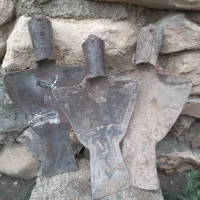 بیل توسرکانی