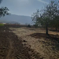 زمین کشاورزی بارانی درجه یک|فروش دفتر صنعتی، کشاورزی، تجاری|بیلوار, |دیوار