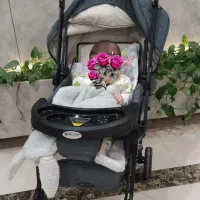 کالسکه در حد نو