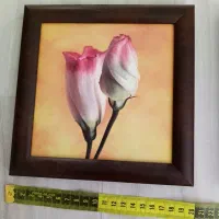 تابلو|تابلو، نقاشی، عکس|شیراز, طلاب|دیوار