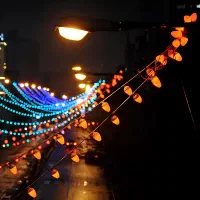 ریسه بلوطی ، چلچراغ نوری ، ریسه لامپی کف قیمت|ریسه و چراغ تزئینی|تهران, لاله زار|دیوار