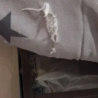 روتختی نوجوان|سرویس روتختی|اسلام‌شهر, شهرک مهدیه|دیوار