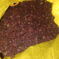 لوبیای  قر مزفروشی