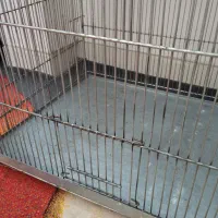 قفس پرنده|لوازم جانبی حیوانات|ری, ظهیرآباد|دیوار