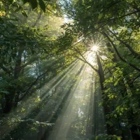 کار در منزل بانو