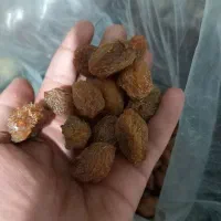 آلو|عمدهفروشی|تویسرکان, |دیوار