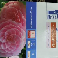 کتاب کار و تست نهم خیلی سبز و قلم چی