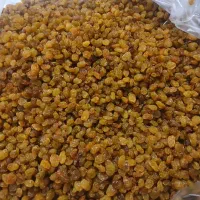 کشمش