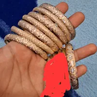 النگوسایز ۳