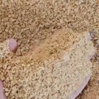 فروش سویا وذرت