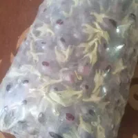 بادمجون بزرگ برای سرخ کردنی
