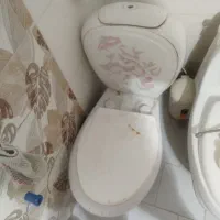 تولت فرنگی