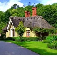 همخونه ، همخانه میپذیرم.|اجارهٔ آپارتمان|شیراز, گلدشت معالی‌آباد|دیوار