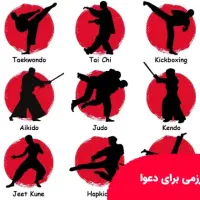 فعالیت های ورزشی  رزمی