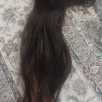 مو طبیعی کاملا سالم و تمیز
