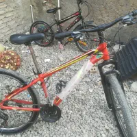 دوچرخه 26ویوا تنه آلمینیومی|دوچرخه، اسکیت، اسکوتر|گنبد کاووس, |دیوار