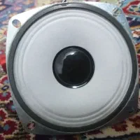 باند نونو سالم بفروش میرسد.