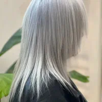 کراین پروتیین بوتاکس مو و هایلایت|خدمات آرایشگری و زیبایی|گرگان, |دیوار