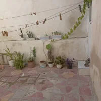 فروش منزل دوخواب بلوارسادات کوچه ۲۴|فروش خانه و ویلا|شیراز, سهل‌آباد|دیوار