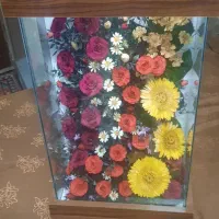 باکس گل خشک طبیعی