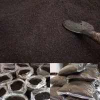 سبزی خورشتی سرخ شده آماده خانگی