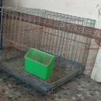 قفس جفت کن