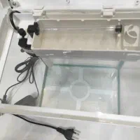 اکواریوم شرکتی