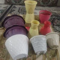 گلدان|گل و گیاه طبیعی|مشهد, حسین‌آباد|دیوار