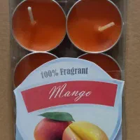 تولید و پخش انواع شمع وارمر معطر  قلمی استوانه|صنایع دستی و سایر لوازم تزئینی|تهران, ترمینال غرب|دیوار