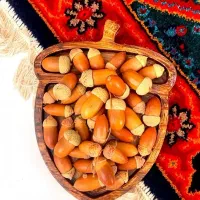 بلوط طبیعی تزیین شب یلدا