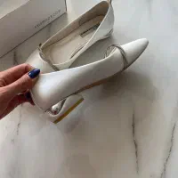 کفش مجلسی