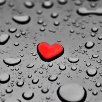 راهنمایی کنید مسکن مهر مجردها|فعالیت داوطلبانه|کرمانشاه, |دیوار