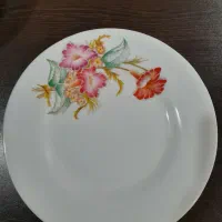تعدادی بشقاب برنجی وخورشت خوری ملامین