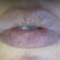 شیدینگ لب و فیبروز ابرو