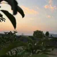 باغ-هفتصد-متری-در-حاج-اقا
