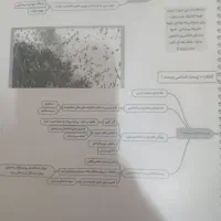 جزوه نموداری زیست شناسی  هر سه پایه|کتاب و مجله آموزشی|فردوس (خراسان), |دیوار