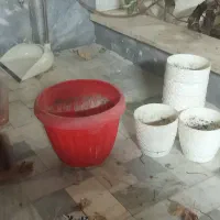 چند عدد گلدان به مبلغ200ت