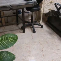 اجاره صندلی درسالن زیبایی.همه لاینهابجزناخن|خدمات آرایشگری و زیبایی|رشت, رودباری|دیوار