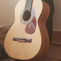 گیتار آگرین فول چوب گردو اصیل