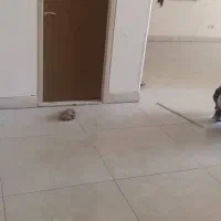 نماکاری وکاشی کار|خدمات پیشه و مهارت|اردکان, |دیوار