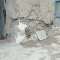 گچکاری و گلکاری