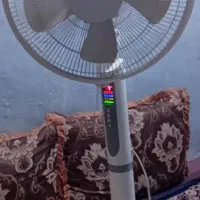 پنکه ایستاده