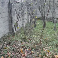 زمین مسکونی ۲۹۰ متر سند تک برگ ماسوله|فروش زمین و ملک کلنگی|فومن, |دیوار