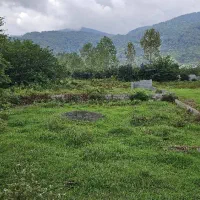 فروش-زمین-200-متری-باغی-گل-سرخ-کاج