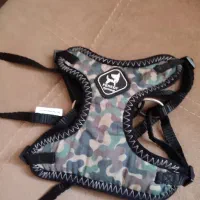 توله سگ|سگ|تهران, آهنگران (سراسیاب دولاب)|دیوار